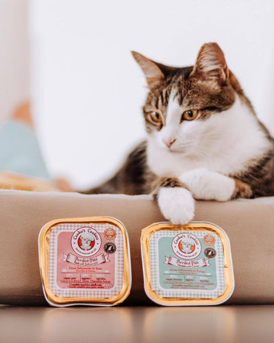 Cooka's Cookies PURRFECT Paté - Luonnollinen Kananlihapaté Kissoille