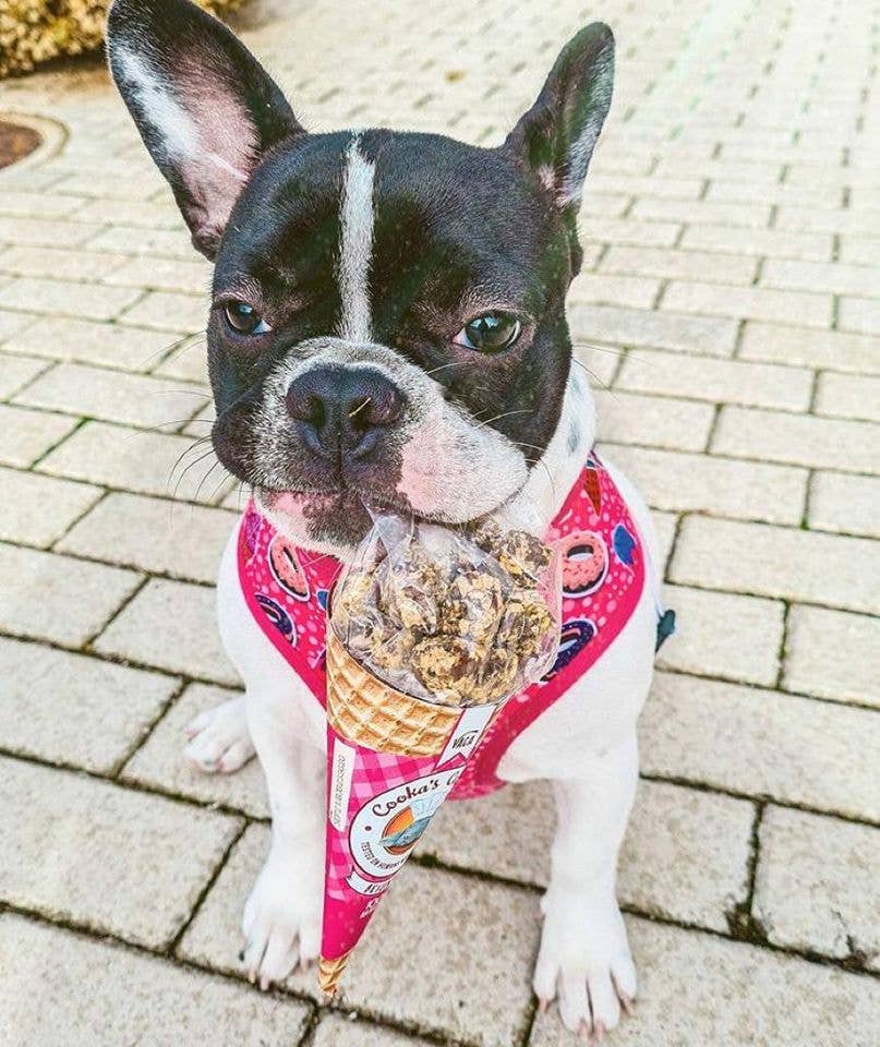 Cooka's Cookies, Beijinhos - Rapeat ja Luonnolliset Naudanherkut Koirille