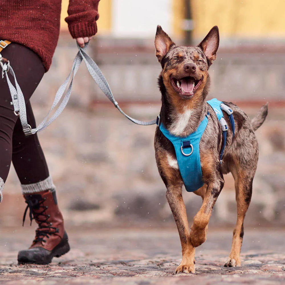 Hurtta Safeguard Valjas ECO - Vaaleansininen