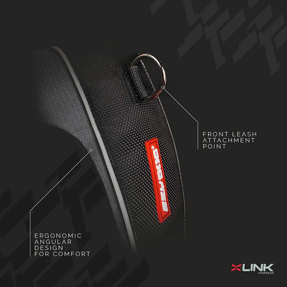 Ezydog Valjaat, X-Link - Eri kokoja