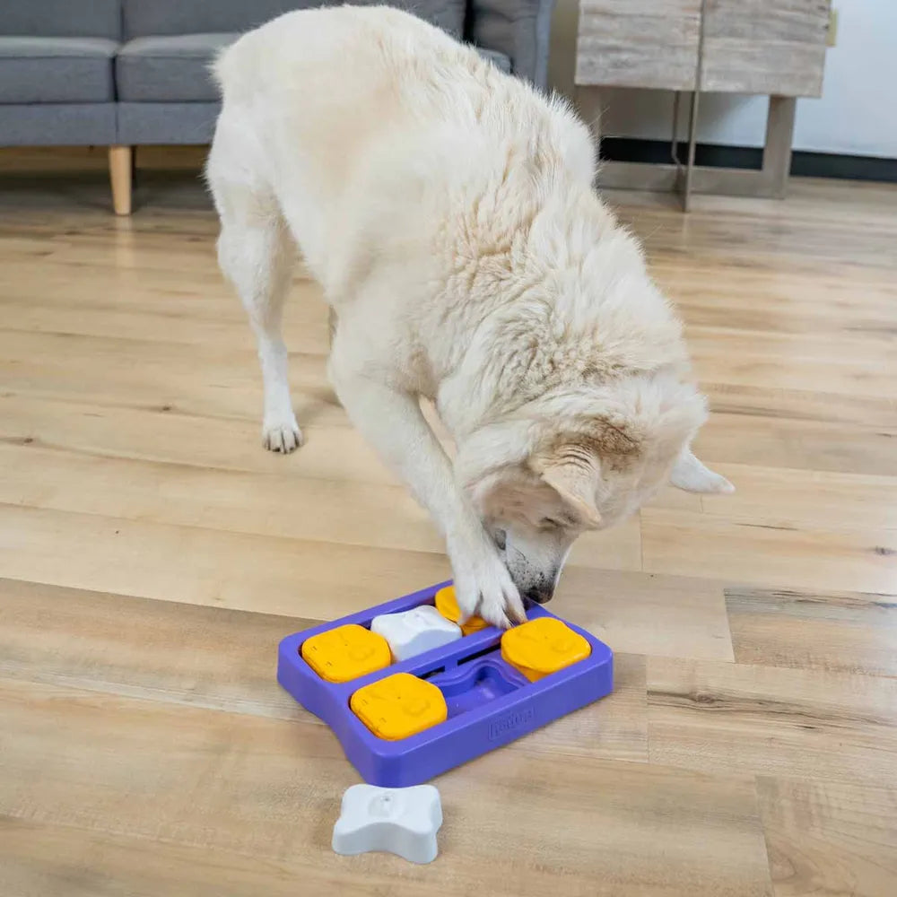 Dog Brick Small Aktivointipeli Koiralle