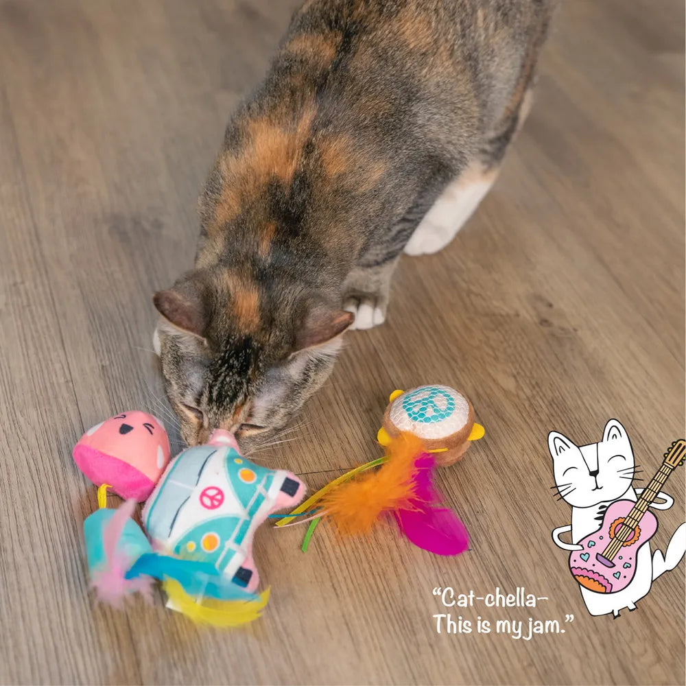 Catstages Festival 3-pack