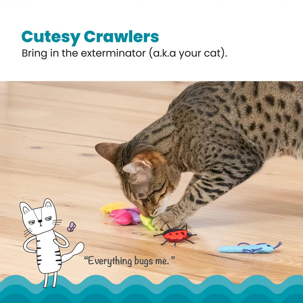 Catstages Cute As A Bug 6-pack