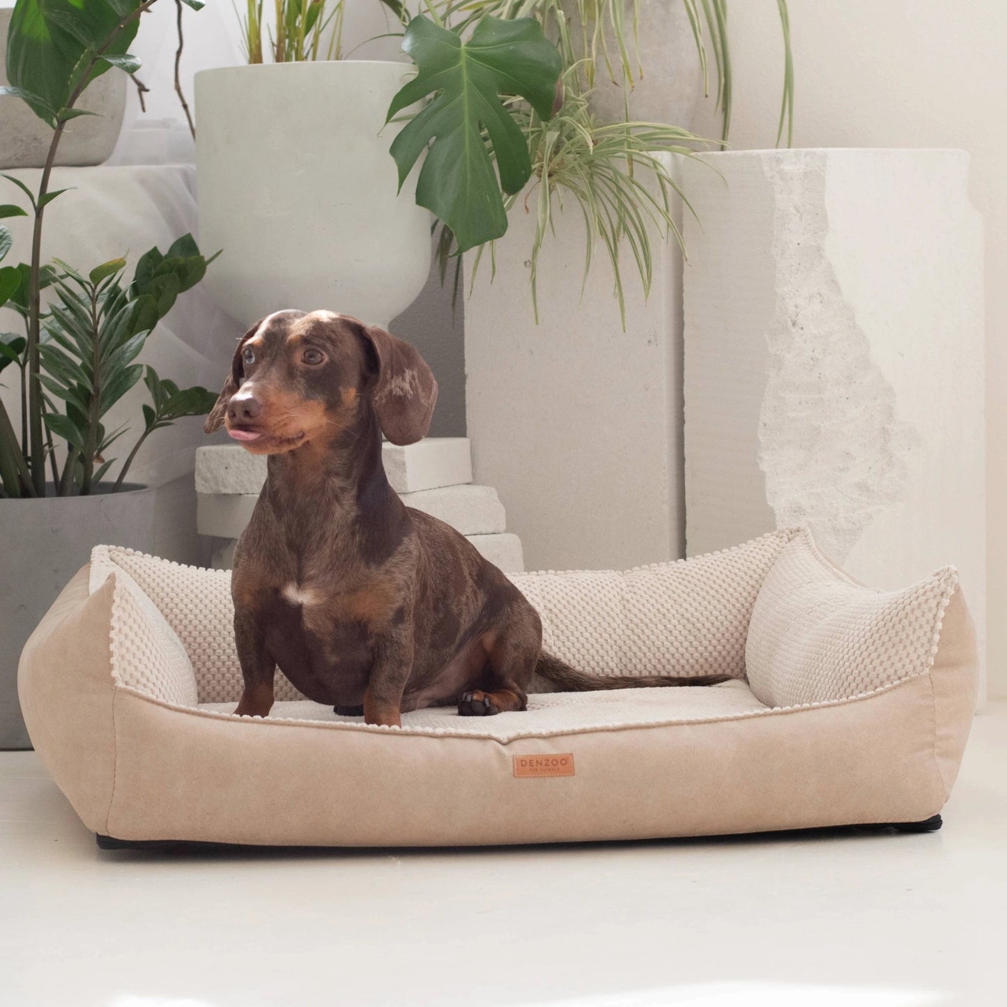 Denzoo Koiranpeti ANCONA, Beige