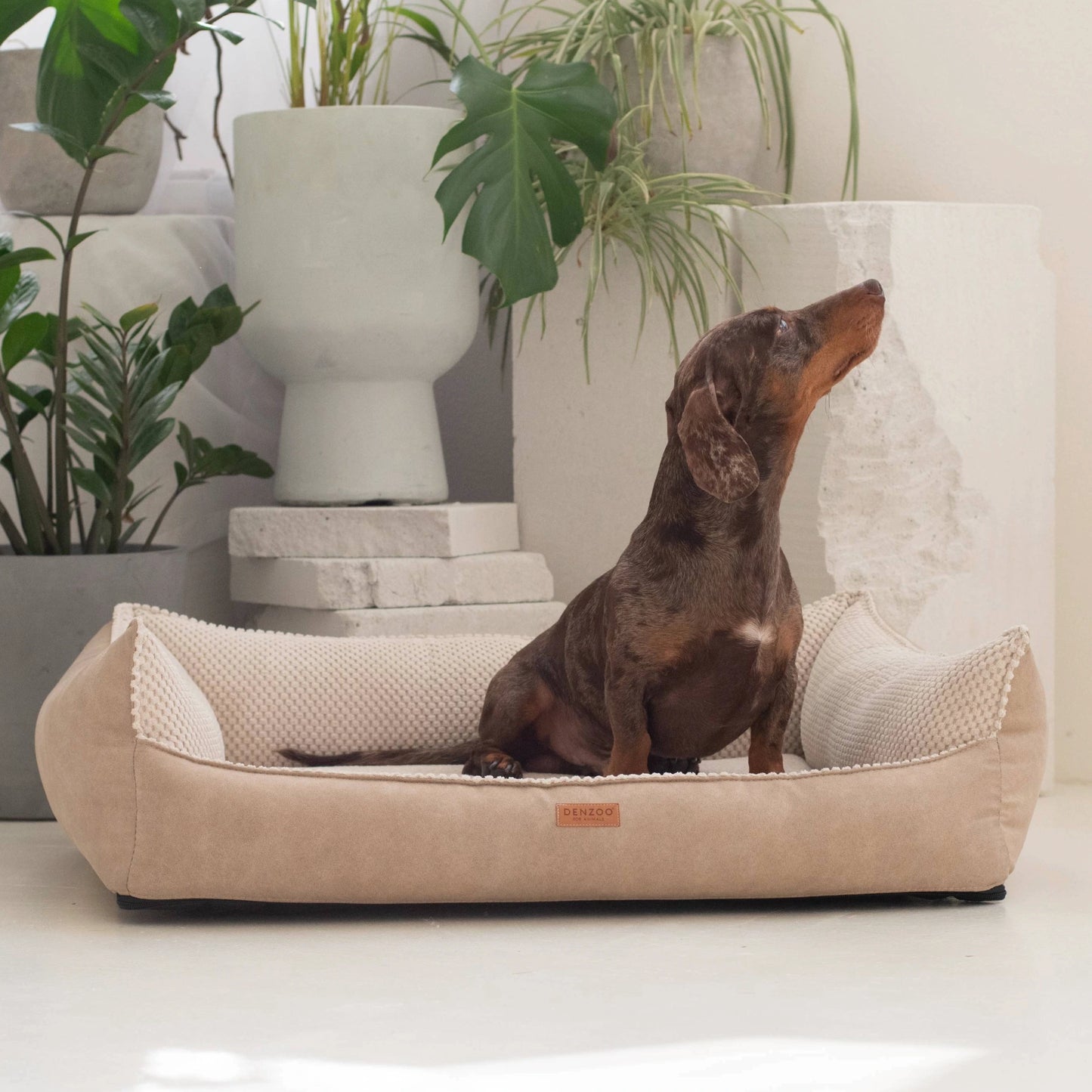 Denzoo Koiranpeti ANCONA, Beige