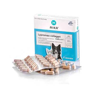 AIKA Lypromax Collagen 40 kaps.