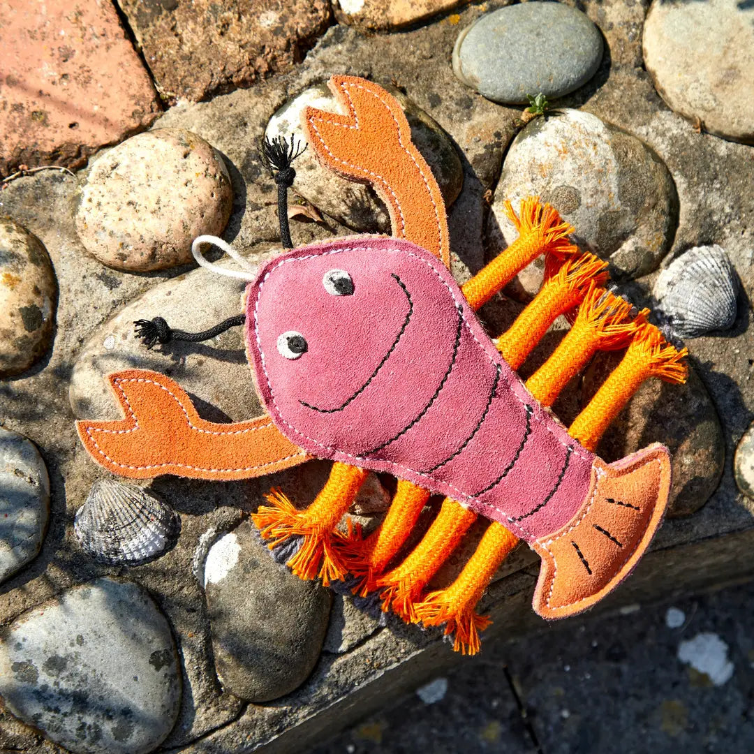 Ekologinen koiranlelu, Green & Wilds Larry The Lobster