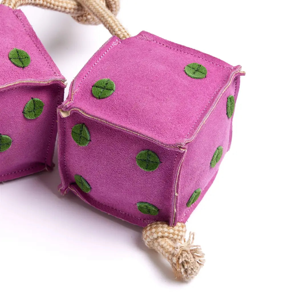 Ekologinen koiranlelu, Green & Wilds Lucky Dice