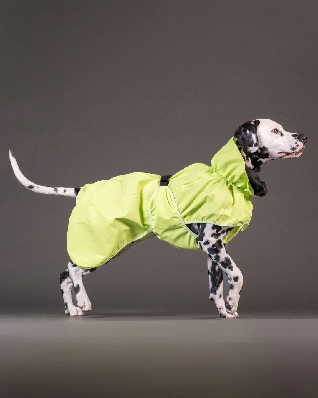 Paikka Reflective Shell Jacket Matcha