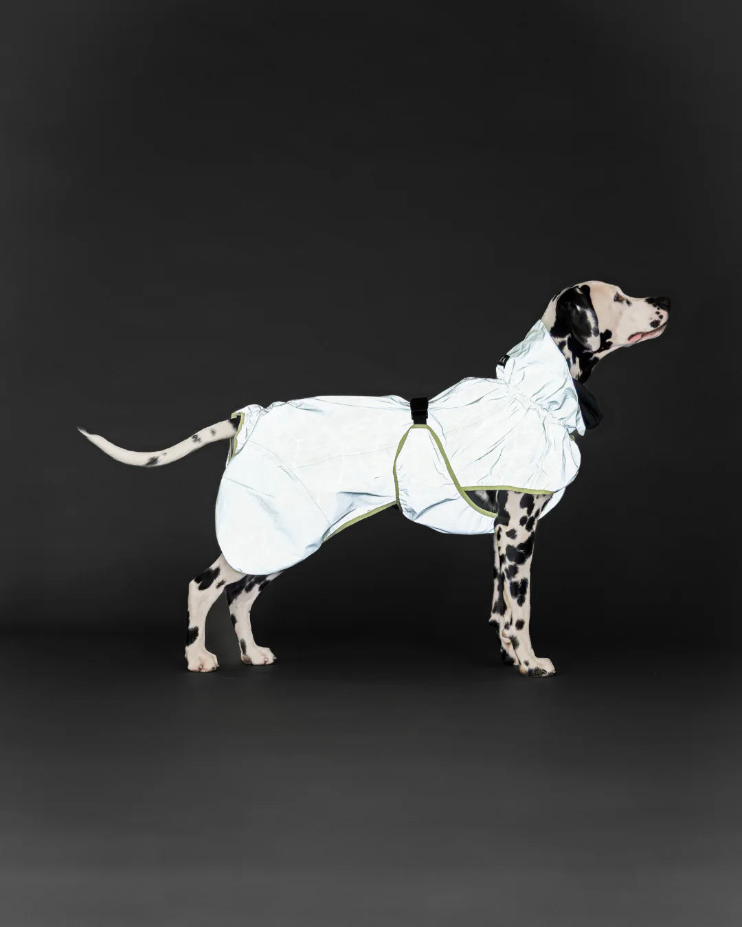 Paikka Reflective Shell Jacket Matcha