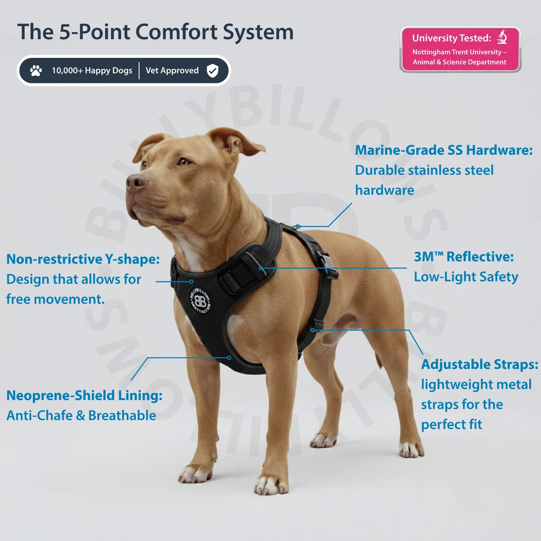 BullyBillows Comfort Premium Harness, BLACK – Ergonominen koiranvaljas