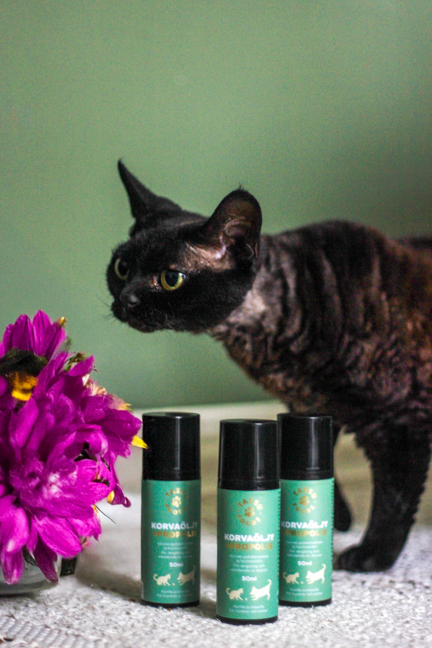 korvien puhdistus koirille ja kissoille