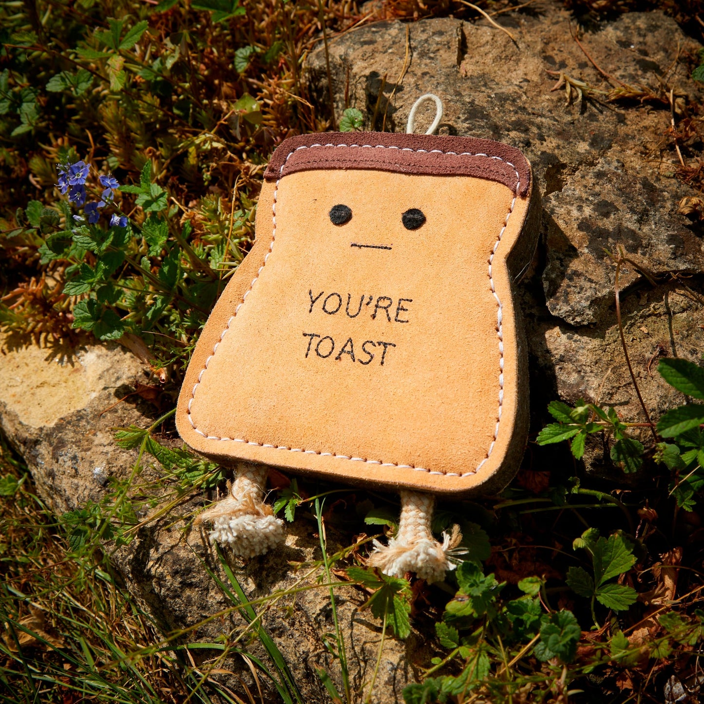 Ekologinen koiranlelu, Green & Wilds You're Toast