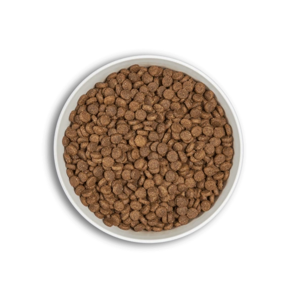 ERA Grain Free Kitten - Fresh Chicken & Turkey