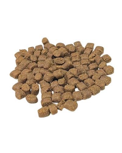 Cooka’s Cookies Ocean Feast – Kylmäpuristettu Täysravinto Kala & Kalkkuna 3kg - PÄIVÄYS 31.10.2026