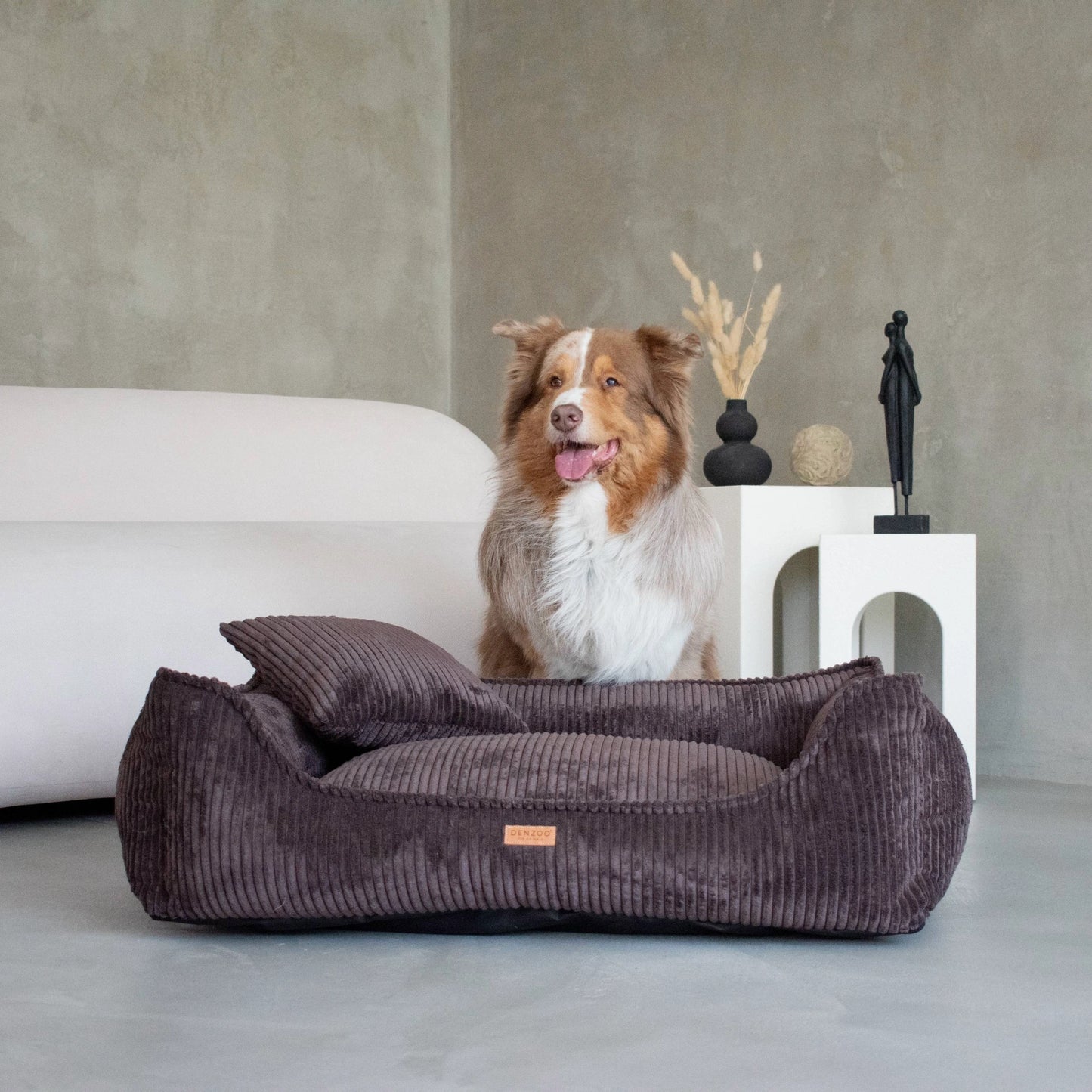 Denzoo Koiranpeti MILANO, Brown