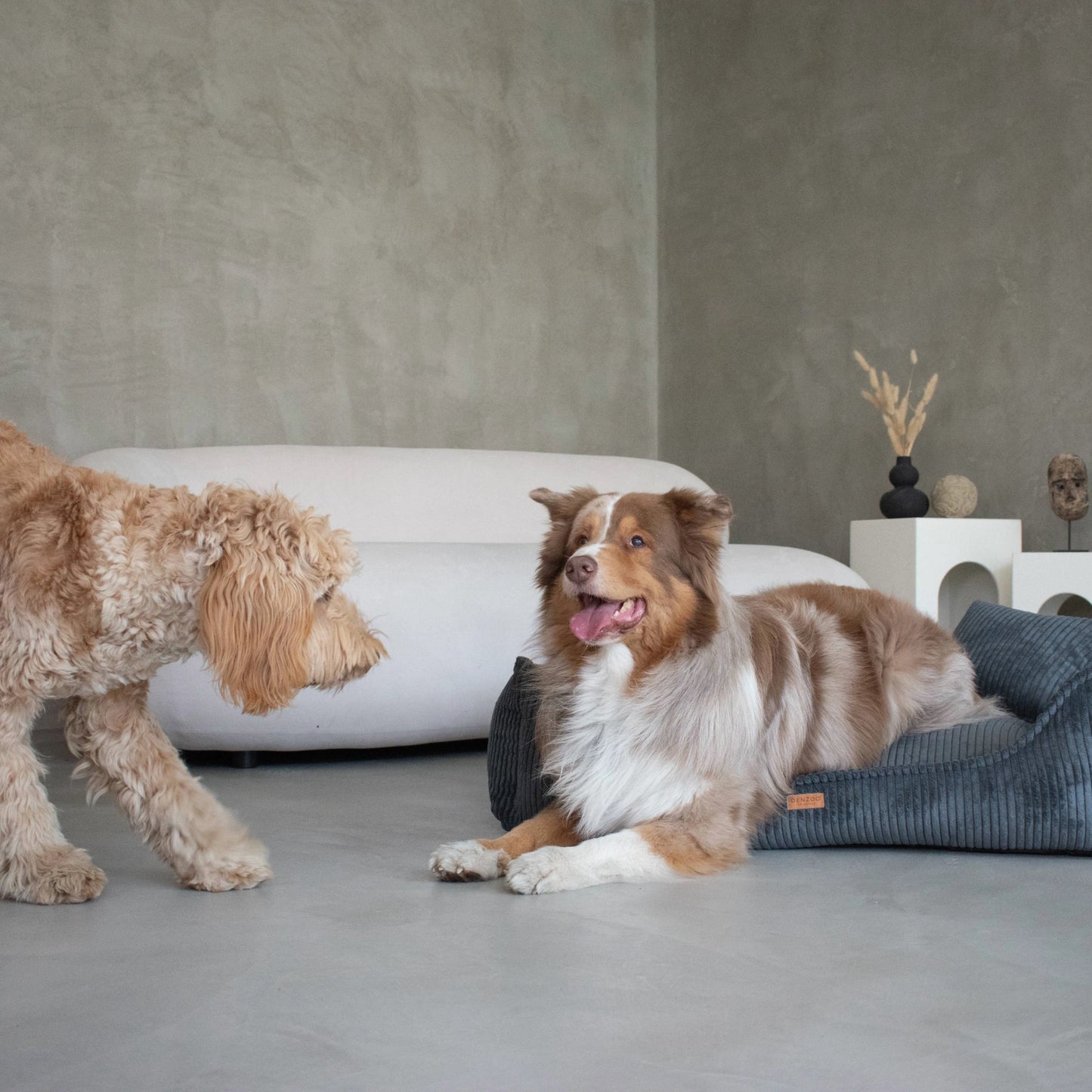 Denzoo Koiranpeti MILANO, Dark Grey