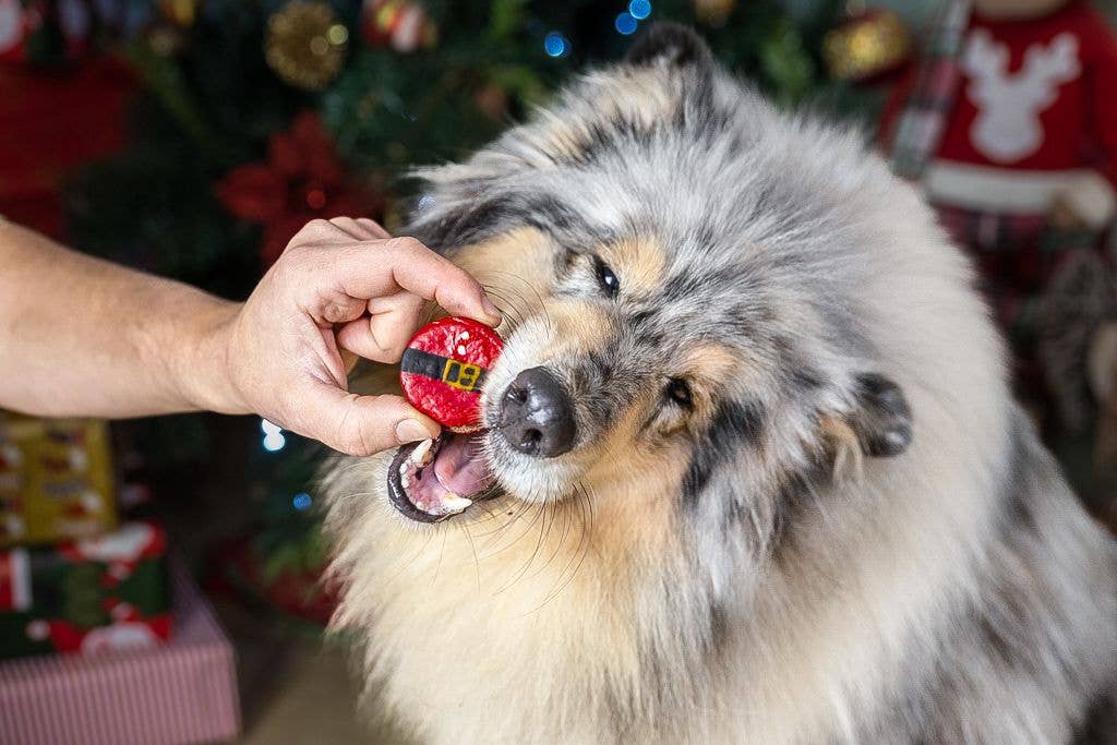 Cooka's Cookies Santa's Belly Macaronit - Christmas Gift Box