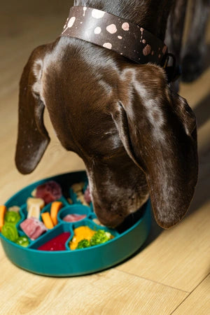 Fiboo Aktivointikuppi - Slow Fiboowl