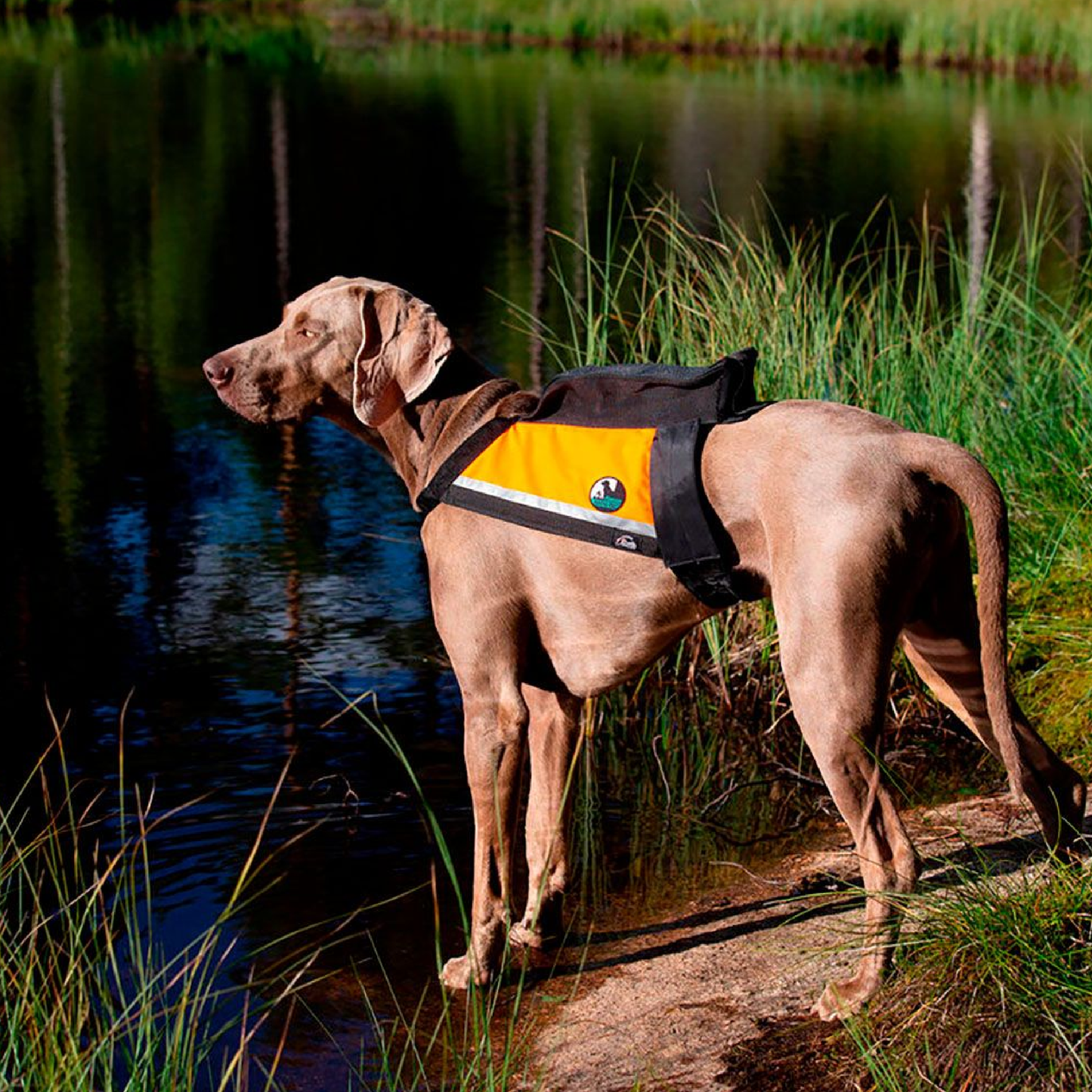 GPS Metsästysliivi koiralle