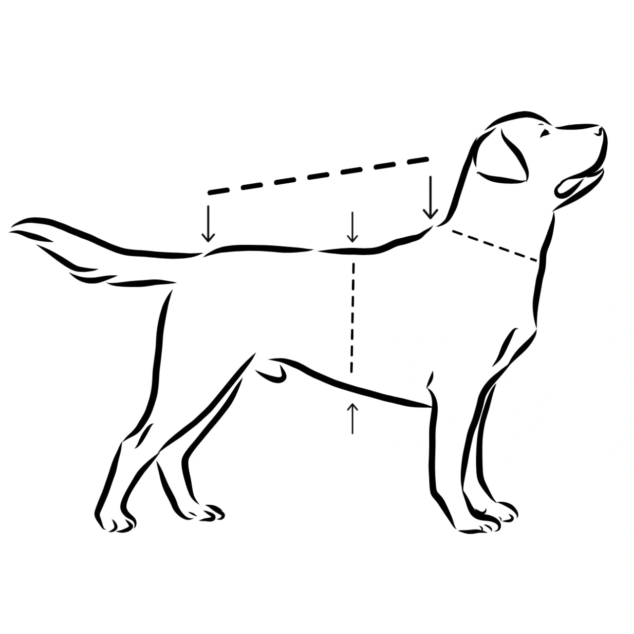 Paikka Reflective Shell Jacket Peach