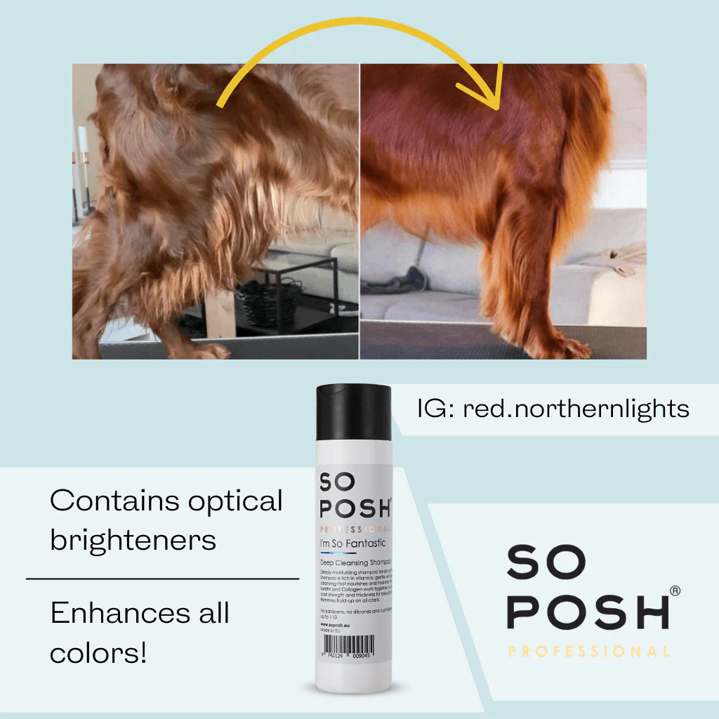 So Posh I'm So Fantastic Shampoo - Eri kokoja