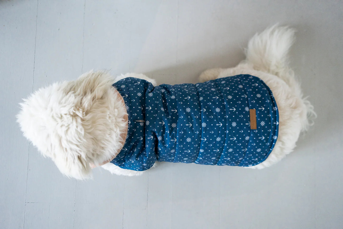 Puppy Bohéme Teddy Liivi - Sailor