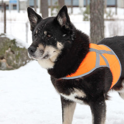 Kivalo Kaamos Koiran Huomioliivi