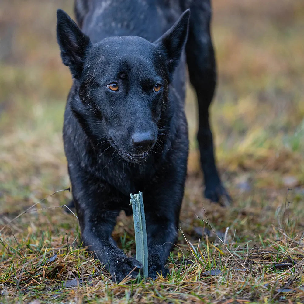 CanineCare Kasvis Merileväluu - Purutikku
