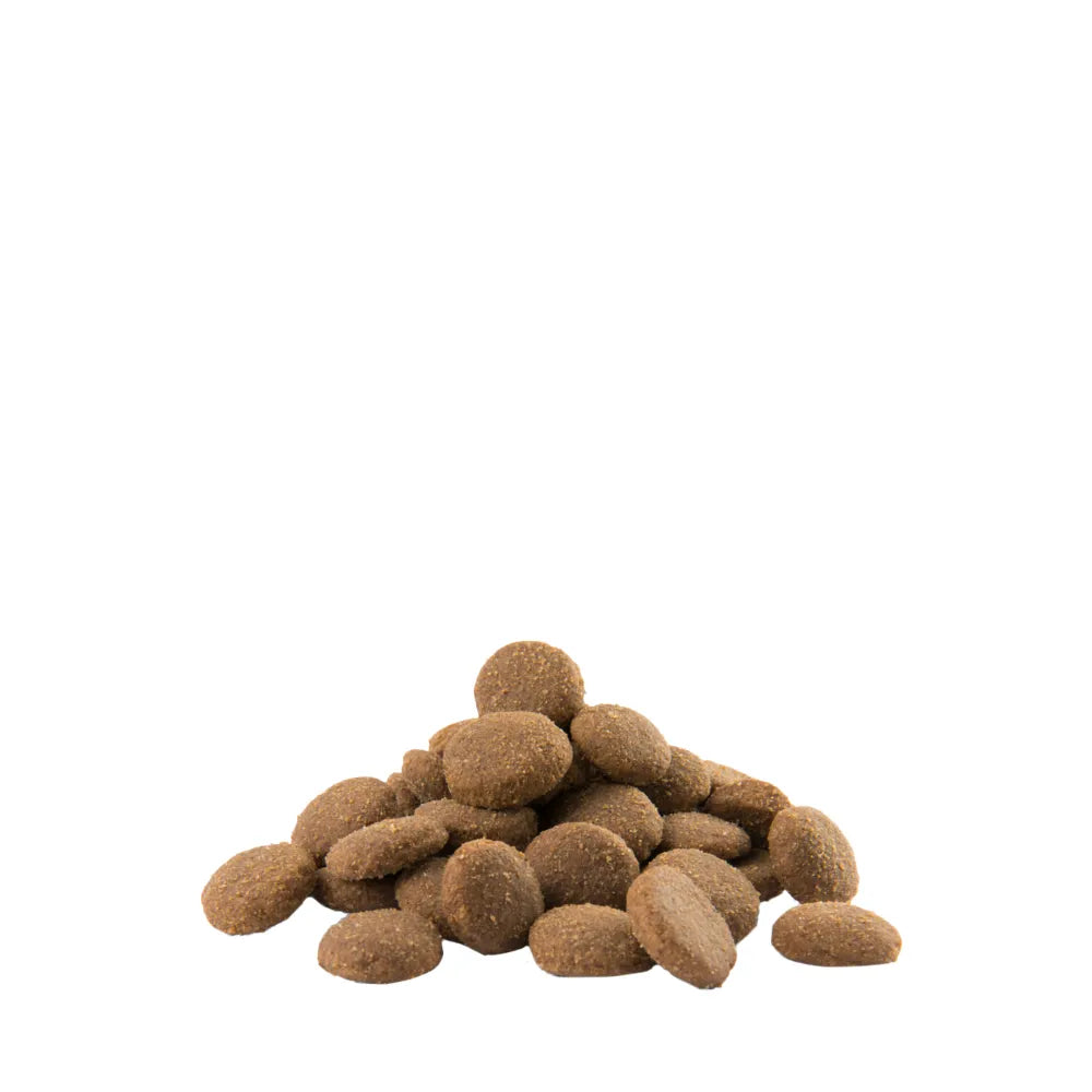 Opti Life Adult Maxi 12,5 kg (PARASTA ENNEN 13.8.2025)