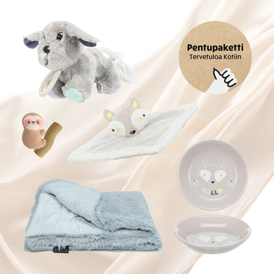 Pentupaketti - Tervetuloa Kotiin, harmaa