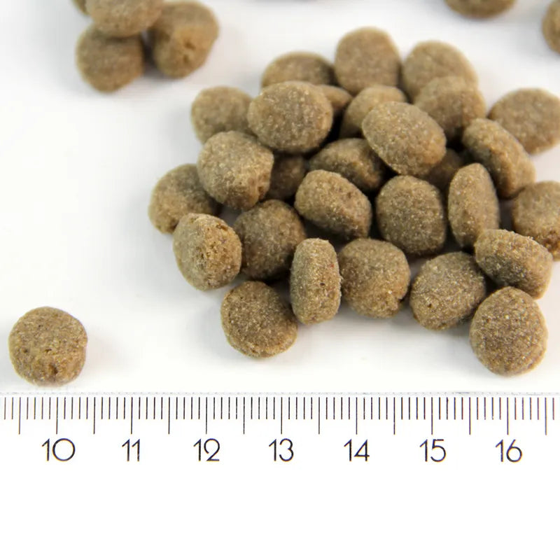 Tuplasäkkitarjous 2x12kg ProBooster Puppy Sensitive Lamb