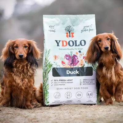 YDOLO Healthy & Pure Duck - Puolikostea koiranruoka