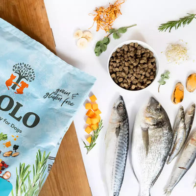 YDOLO Healthy & Pure Wild Fish MINI - Puolikostea koiranruoka