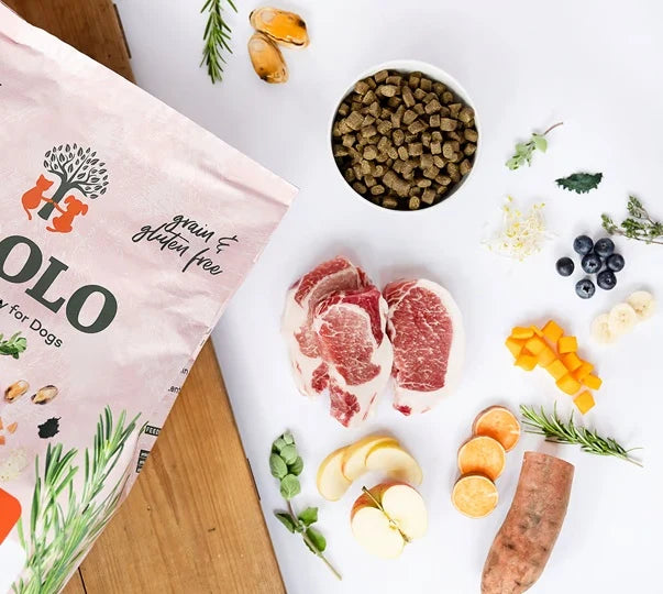 YDOLO Healthy & Pure Iberico MINI - Puolikostea koiranruoka