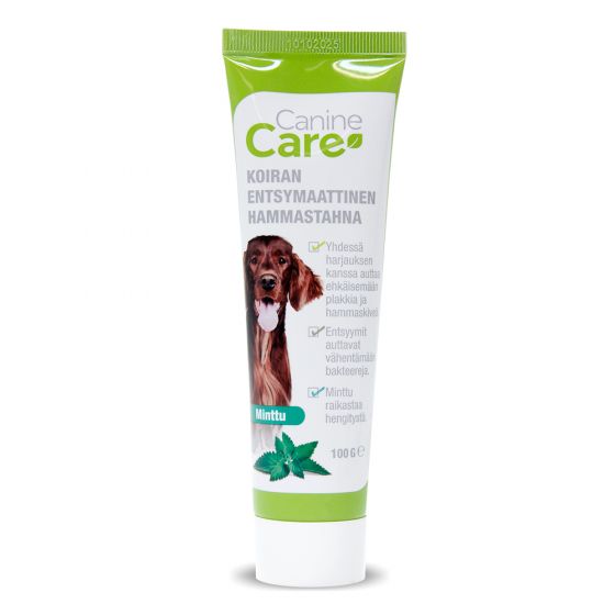 CanineCare Entsymaattinen Hammastahna