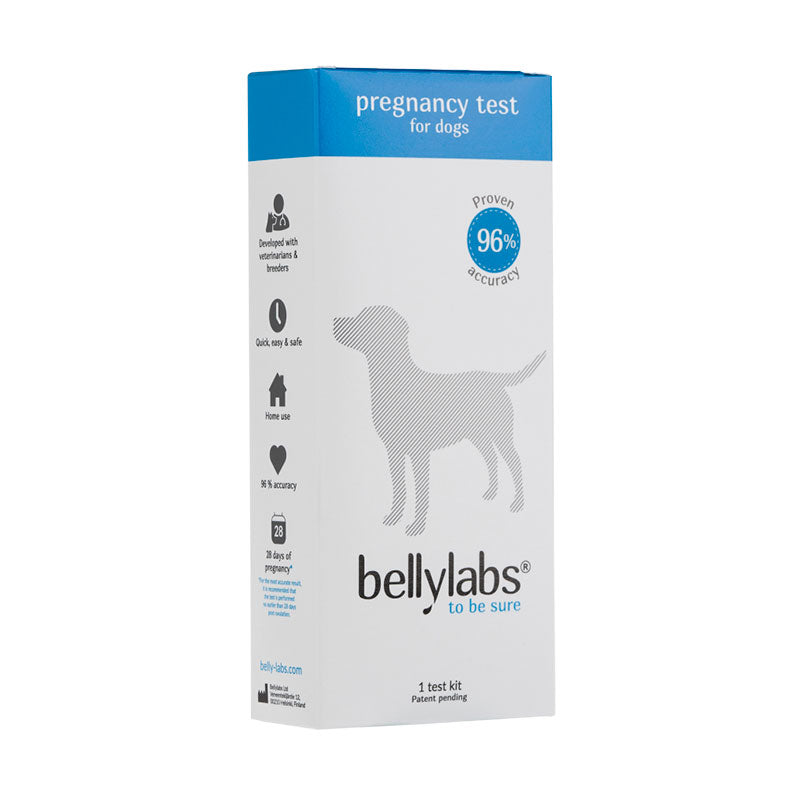 Koiran tiineystesti Bellylabs