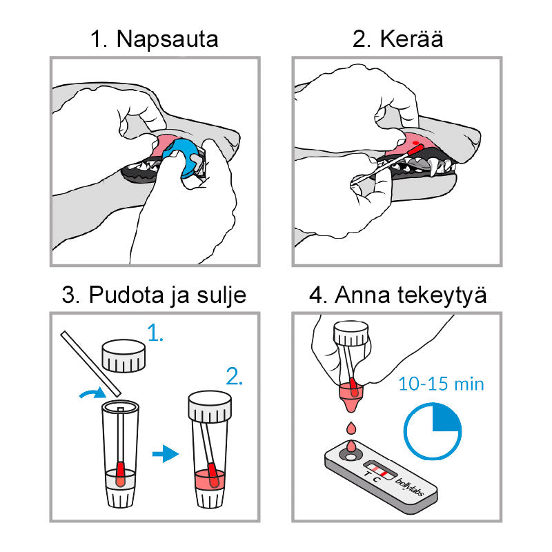 Bellylabs Koiran Tiineystesti