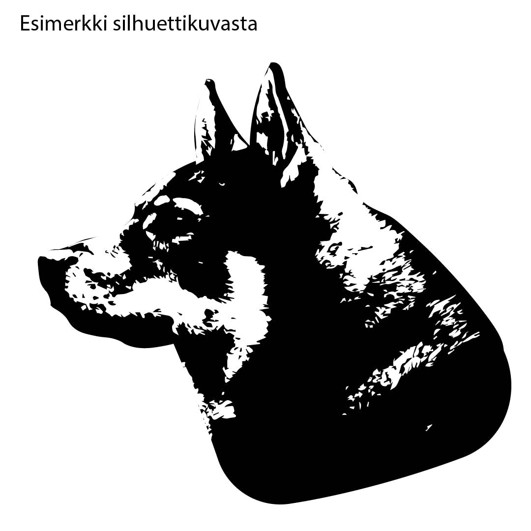 T-Paita omalla kuvalla 1017