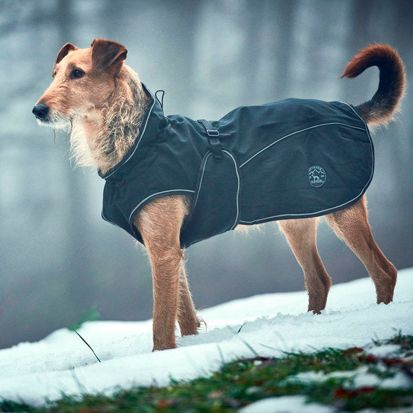 Koiran takki Hunter Uppsala Musta - 1kpl/koko