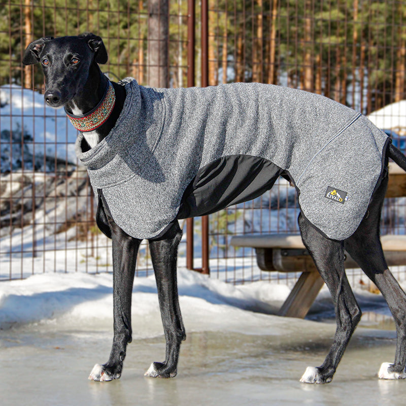 Lämpöpaita koiralle KIVALO