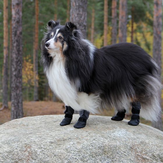 Karkeapohjaiset koiran tossut Kivalo