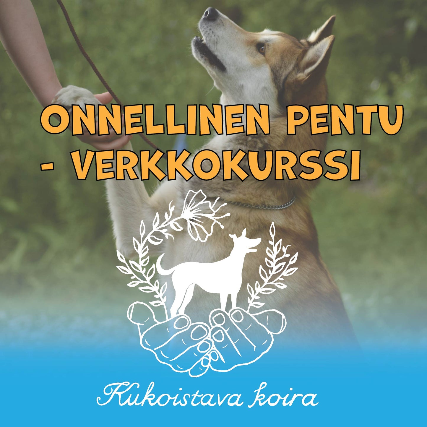 Onnellinen pentu -verkkokurssi