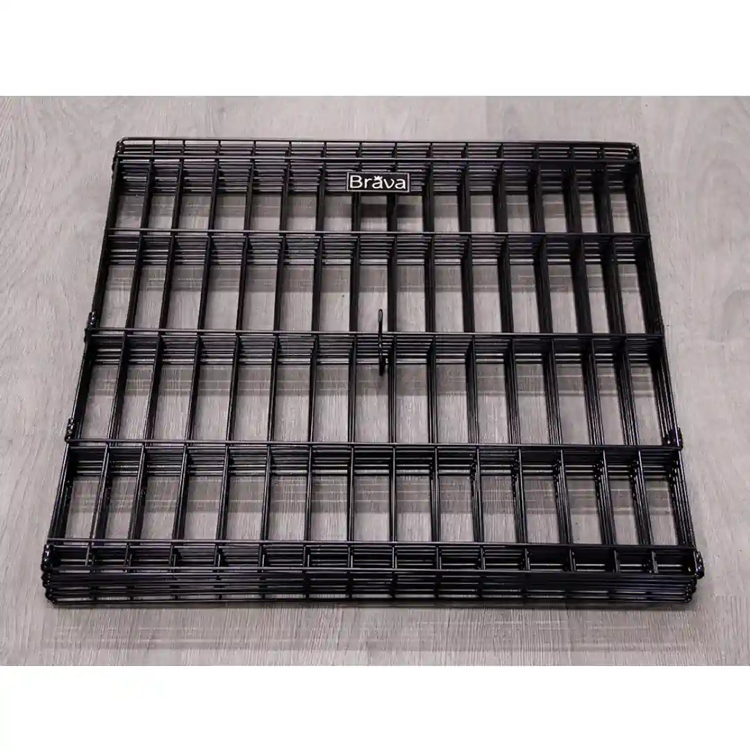 Brava Pentuaitaus, L