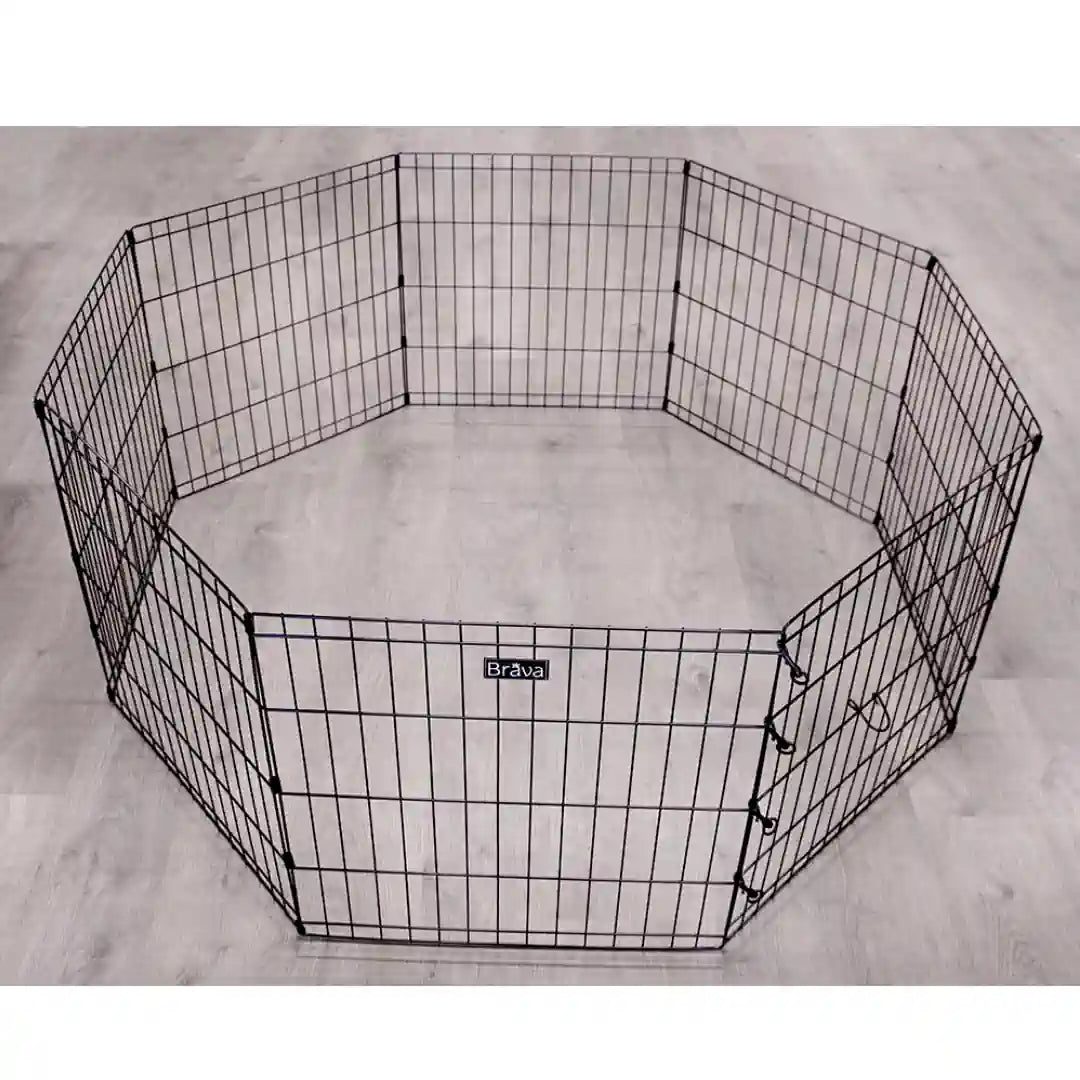 Brava Pentuaitaus, M