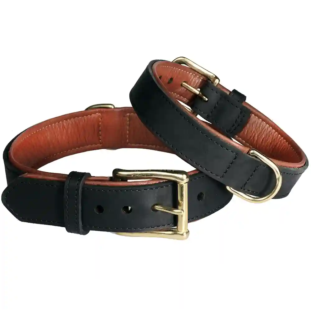 Pet First Rasvanahkapanta on vaativankin koiraharrastajan valinta! Panta on valmistettu pehmeästä, vettä ja likaa hylkivästä rasvanahasta, joka kestää kovemmatkin olosuhteet. Sisävuori on laadukasta semianiliini- tai aniliininahkaa, joka tuntuu miellyttävältä koiran kaulalla.
Täysmessinkinen solki ja lenkki viimeistelevät tyylikkään ja ajattoman ulkonäön. Musta-ruskea väritys sopii monen rotuisille ja -värisille koirille.