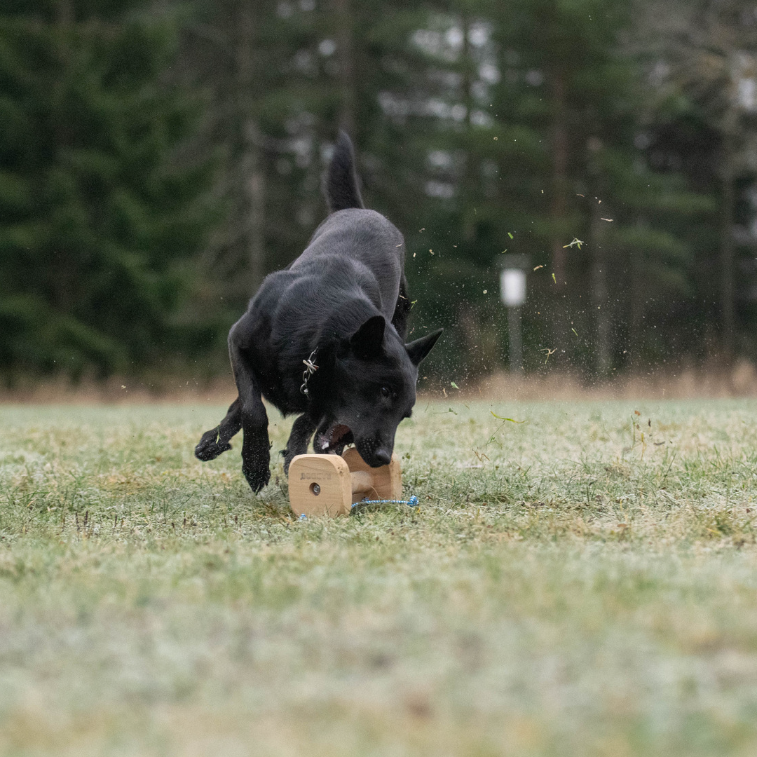 Raddog noutokapula naruilla