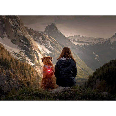 Kun syksy saapuu – miten omat tunteemme heijastuvat koiraan