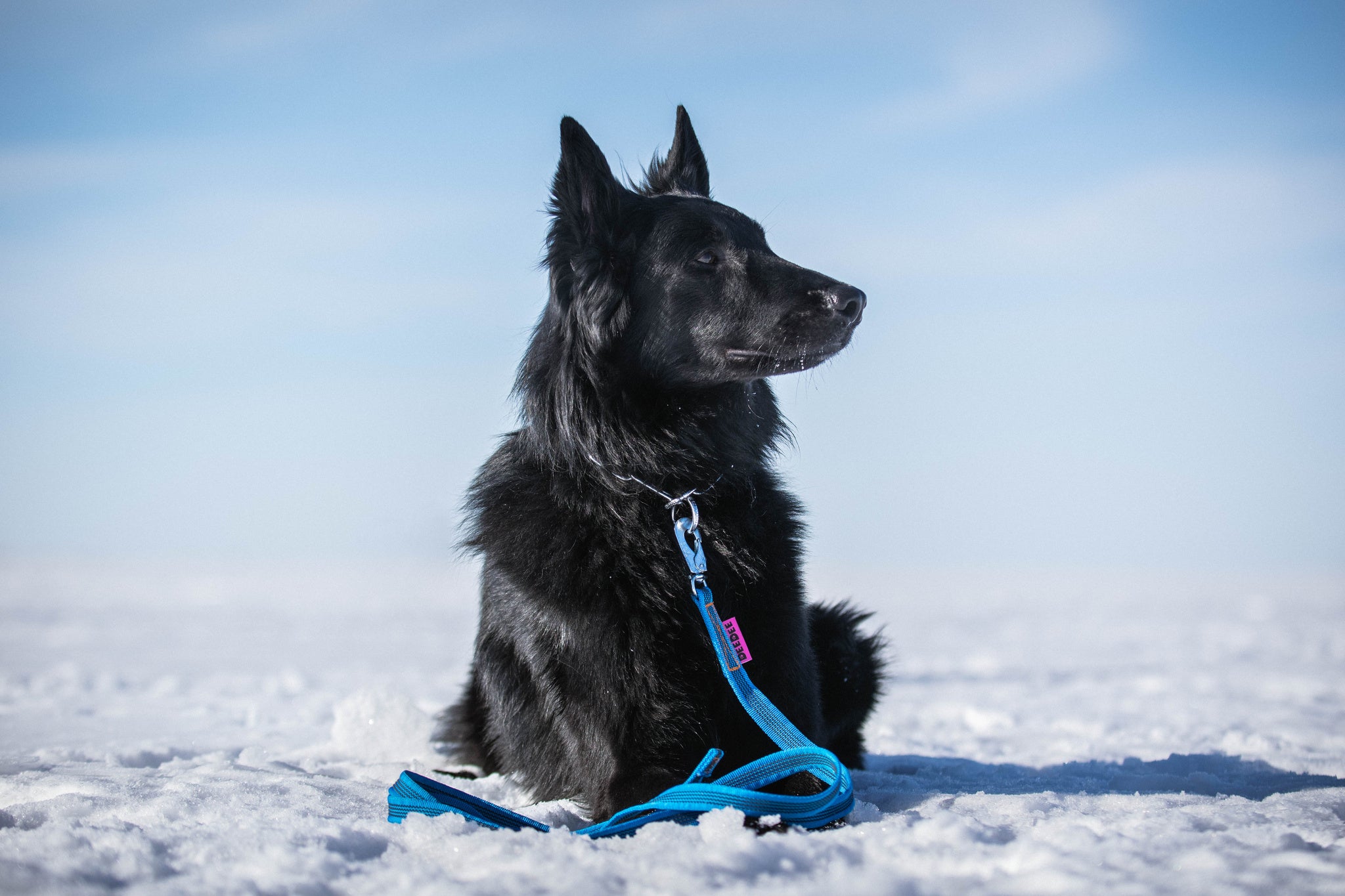 Haukkulan tiimiläisiä: Eevi, Jänkä ja Kerttu