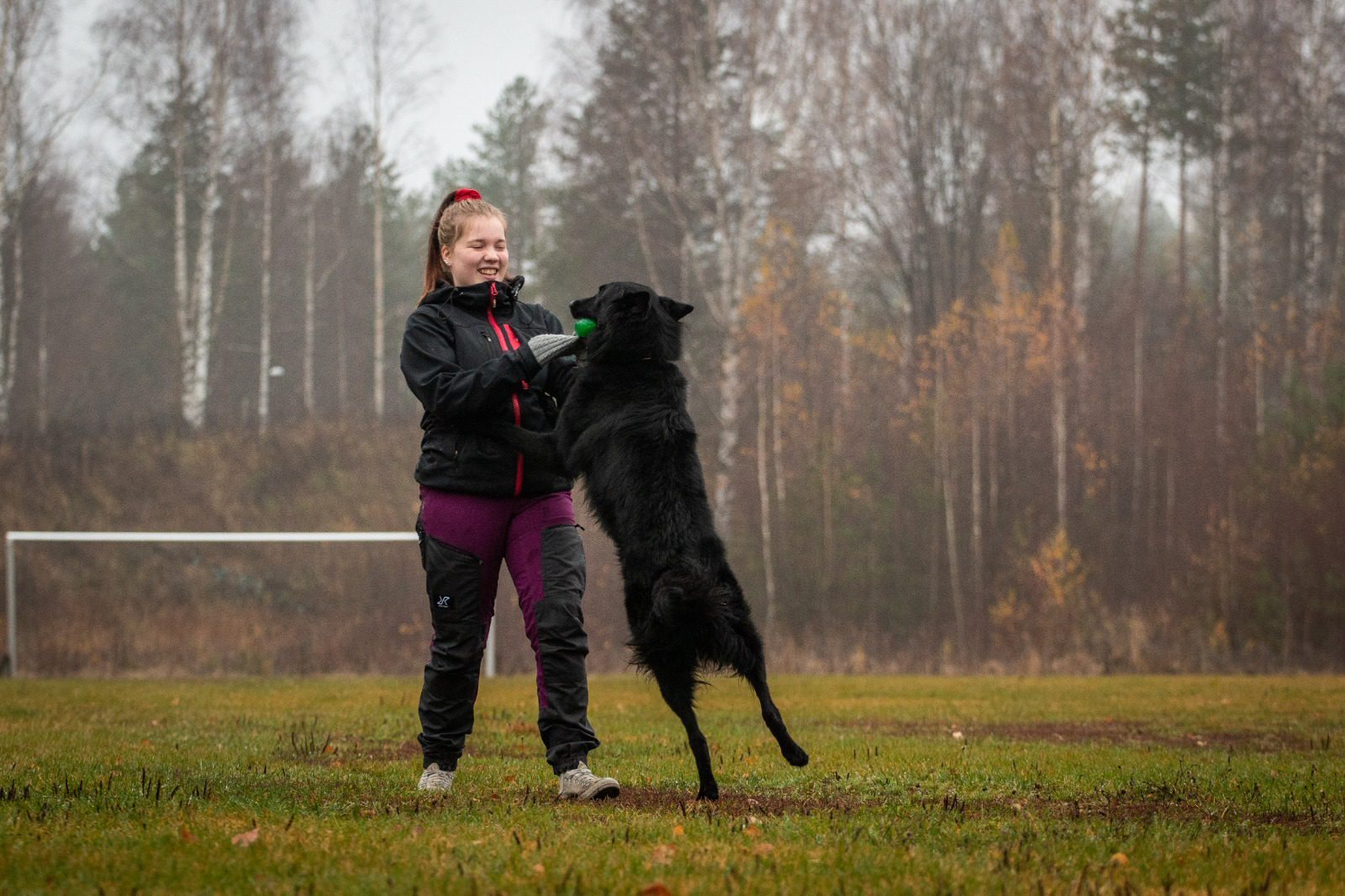 Koiran "palkkaaminen" / "Vahvistaminen"